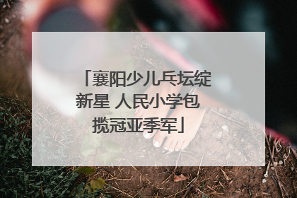 襄阳少儿乓坛绽新星 人民小学包揽冠亚季军