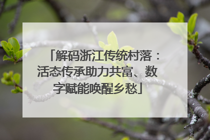 解码浙江传统村落：活态传承助力共富、数字赋能唤醒乡愁
