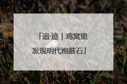 追·迹｜鸡窝里发现明代抱鼓石