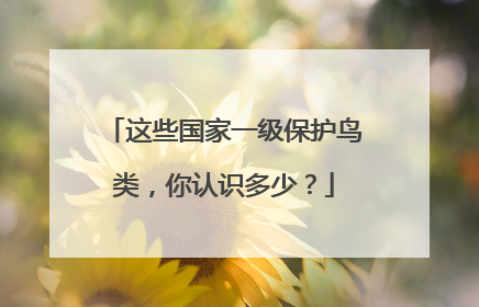 这些国家一级保护鸟类，你认识多少？