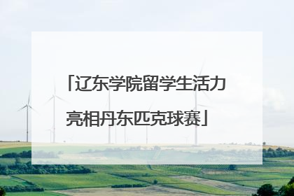 辽东学院留学生活力亮相丹东匹克球赛