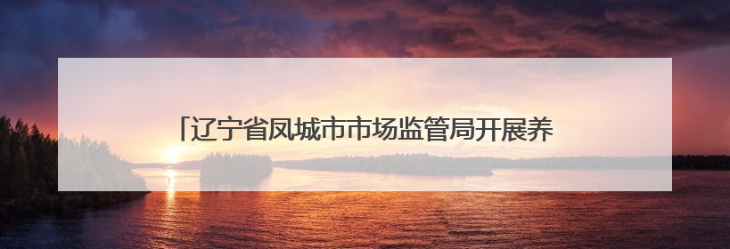 辽宁省凤城市市场监管局开展养老机构食堂食品安全专项整治