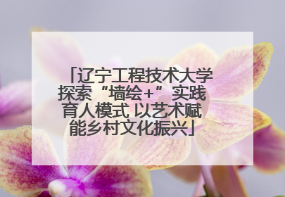 辽宁工程技术大学探索“墙绘+”实践育人模式 以艺术赋能乡村文化振兴