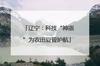 辽宁：科技“神器”为农田夏管护航