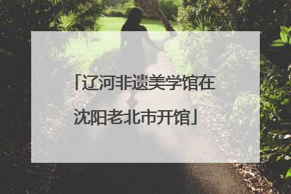 辽河非遗美学馆在沈阳老北市开馆