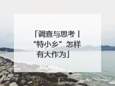 调查与思考丨“特小乡”怎样有大作为