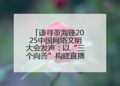 谦寻董海锋2025中国网络文明大会发声：以“三个向善”构建直播电商善意长河