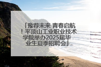 豫荐未来 青春启航！平顶山工业职业技术学院举办2025届毕业生夏季招聘会