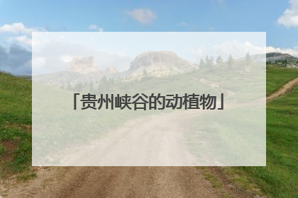 贵州峡谷的动植物