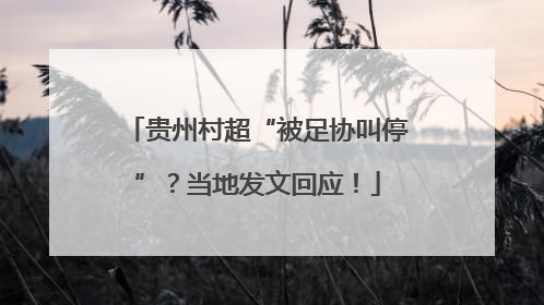贵州村超“被足协叫停”？当地发文回应！