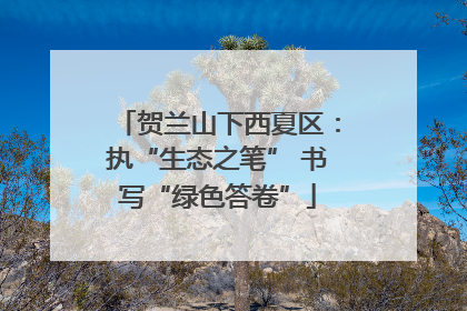贺兰山下西夏区：执“生态之笔” 书写“绿色答卷”