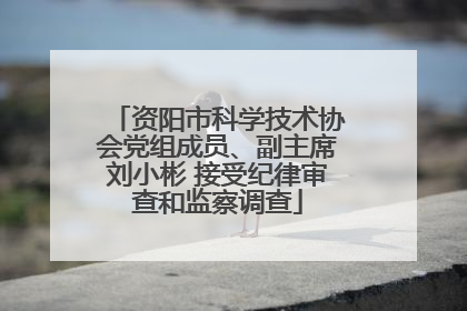 资阳市科学技术协会党组成员、副主席刘小彬 接受纪律审查和监察调查