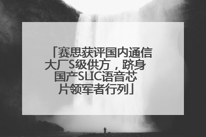 赛思获评国内通信大厂S级供方，跻身国产SLIC语音芯片领军者行列