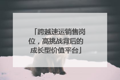 跨越速运销售岗位，高挑战背后的成长型价值平台