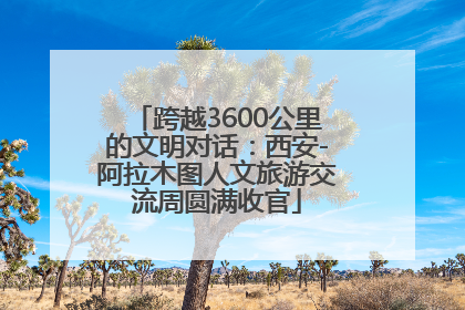 跨越3600公里的文明对话：西安-阿拉木图人文旅游交流周圆满收官