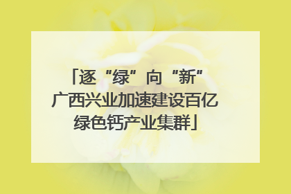 逐“绿”向“新” 广西兴业加速建设百亿绿色钙产业集群