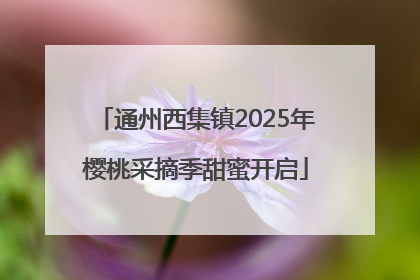 通州西集镇2025年樱桃采摘季甜蜜开启