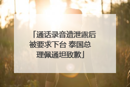 通话录音遭泄露后被要求下台 泰国总理佩通坦致歉
