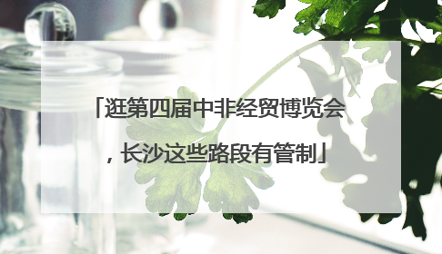 逛第四届中非经贸博览会，长沙这些路段有管制