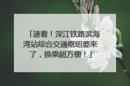 速看！深江铁路滨海湾站综合交通枢纽要来了，换乘超方便！