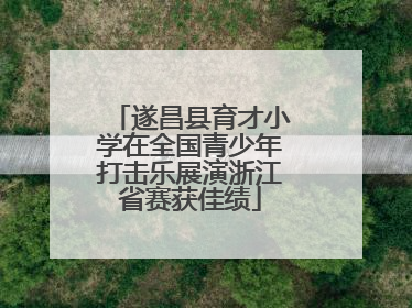 遂昌县育才小学在全国青少年打击乐展演浙江省赛获佳绩