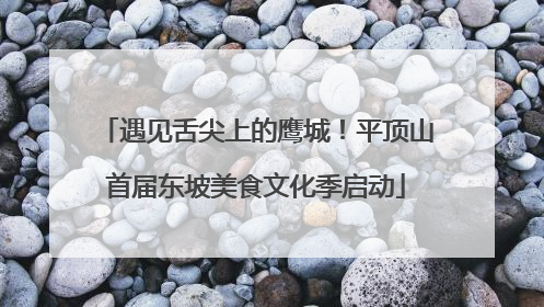 遇见舌尖上的鹰城！平顶山首届东坡美食文化季启动