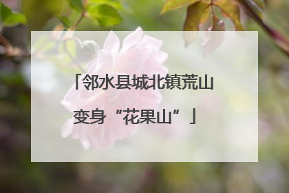 邻水县城北镇荒山变身“花果山”