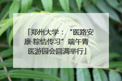 郑州大学：“医路安康·粽情传习”端午青医游园会圆满举行