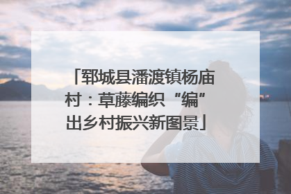 郓城县潘渡镇杨庙村：草藤编织“编”出乡村振兴新图景