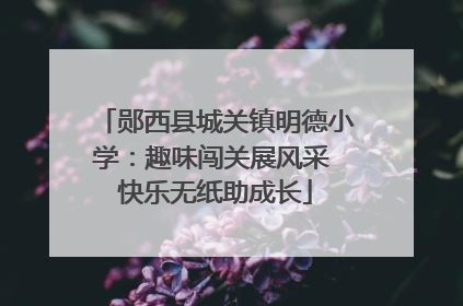 郧西县城关镇明德小学：趣味闯关展风采 快乐无纸助成长