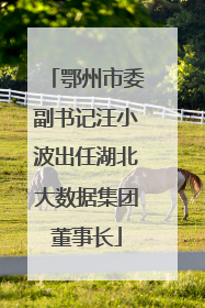 鄂州市委副书记汪小波出任湖北大数据集团董事长