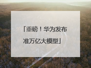 重磅！华为发布准万亿大模型