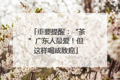 重要提醒：“茶”广东人最爱！但这样喝或致癌