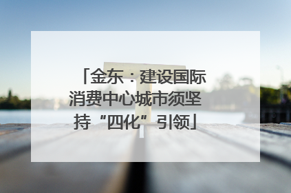 金东：建设国际消费中心城市须坚持“四化”引领