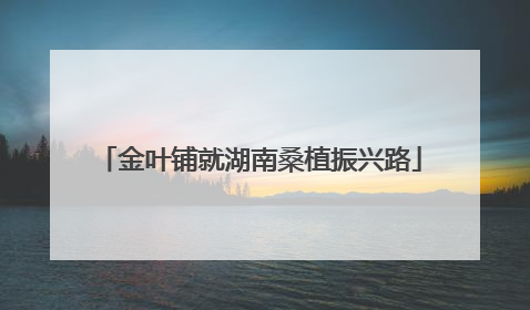 金叶铺就湖南桑植振兴路