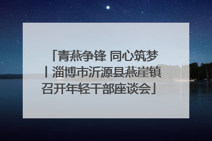 青燕争锋 同心筑梦丨淄博市沂源县燕崖镇召开年轻干部座谈会