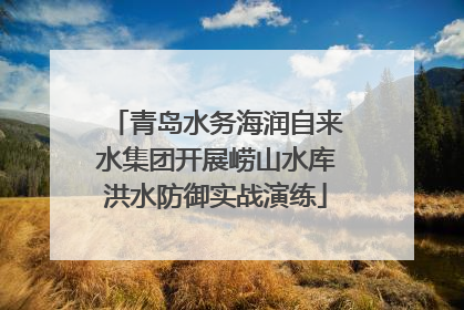 青岛水务海润自来水集团开展崂山水库洪水防御实战演练