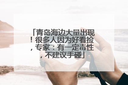 青岛海边大量出现！很多人因为好看捡，专家：有一定毒性，不建议手碰