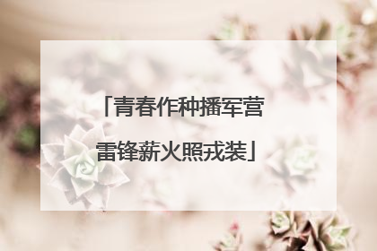 青春作种播军营 雷锋薪火照戎装