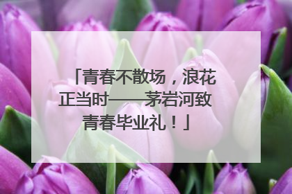 青春不散场，浪花正当时——茅岩河致青春毕业礼！