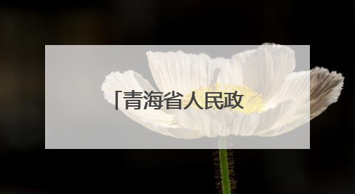 青海省人民政府关于马瑞等职务任免的通知