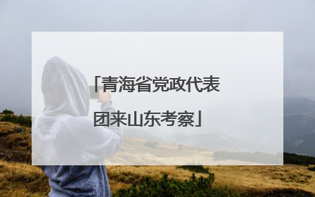 青海省党政代表团来山东考察