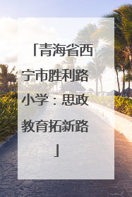 青海省西宁市胜利路小学：思政教育拓新路