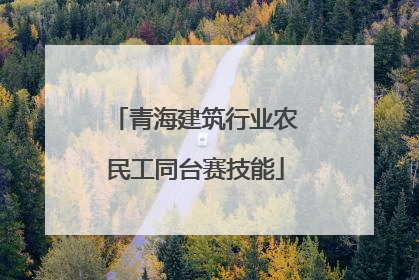青海建筑行业农民工同台赛技能