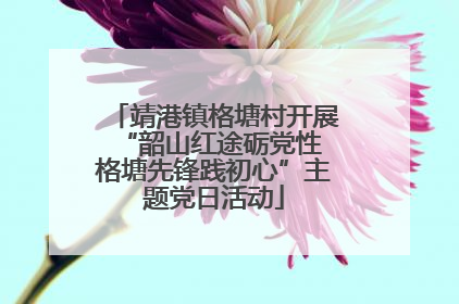 靖港镇格塘村开展“韶山红途砺党性 格塘先锋践初心”主题党日活动