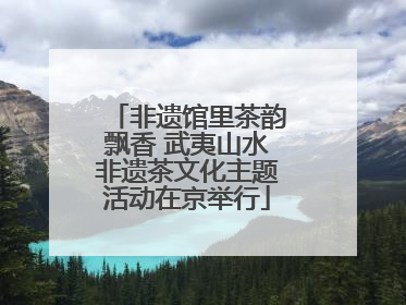非遗馆里茶韵飘香 武夷山水非遗茶文化主题活动在京举行