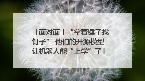 面对面丨“拿着锤子找钉子” 他们的开源模型让机器人能“上学”了