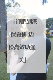 钾肥到港保夏耕 边检高效助通关