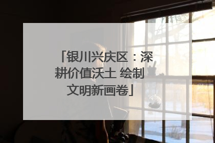 银川兴庆区：深耕价值沃土 绘制文明新画卷