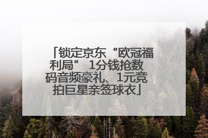 锁定京东“欧冠福利局” 1分钱抢数码音频豪礼、1元竞拍巨星亲签球衣
